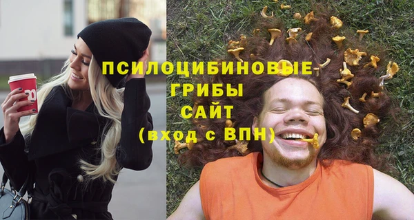 хмурый Балабаново